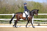 Class 1: Preliminary 5 2024 portfolio