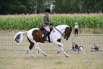 WJ7_5631