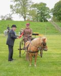 Attelage -1049