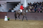 SBM_003474