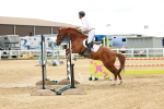 SBM_005320