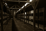 Birkenau  hut wooden bunks 2 sepia