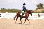 SBM_03564