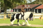 SBM_68785
