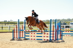 SBM_000941