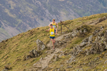 Newlands  TWA-2