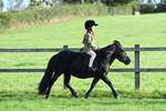 SBM_54023