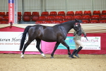 SBM_00441