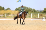 SBM_009500