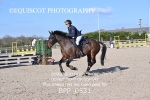 BPP_0531