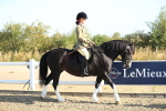 SBM_00369