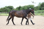 Class 6 - ROR portfolio