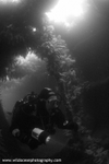 USW003: Endeavour BW
