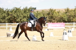 SBM_018066