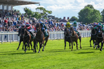 310526-Race 5-Fandom-9077