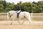 SBM_006458