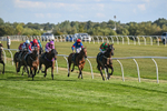 Race 7 portfolio