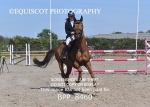 BPP_8460