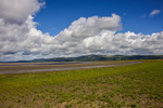 ACP_2372-1