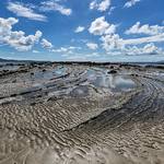 Tawharanui curves