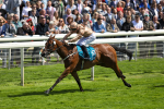 150723-Race 2-Nymphadora-8780
