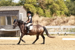 SBM_001427