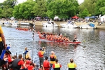 DRAGON BOAT RACE 10 July 2016 - 438 of 549