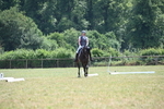 WJ6_8005