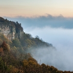 Sutton Fog