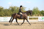 SBM_02197