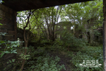 Griffe Mill 5