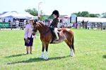 SBM_13911