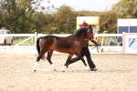 SBM_16309