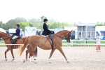 SBM_17065