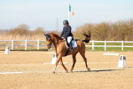SBM_003484