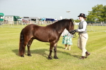 SBM_00390