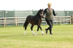 SBM_00437