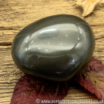 Polished Whitby Ammonite Nodule 039