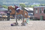 BPP_1247
