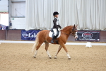 SBM_002973