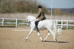SJ3_1188