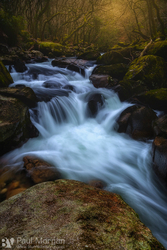 Shaughly Rivers Flow