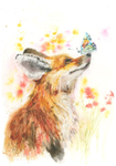 FOX AND BUTTERFLY Fine Art Print 580