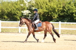 SBM_006824