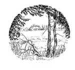 Clippesby - View from the Lake in Winter copy