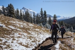 Wilcox Pass
