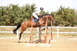 SBM_000980