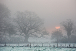 Winter Sunrise, Devon