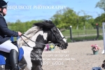 BPP_6904