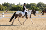 SBM_002791